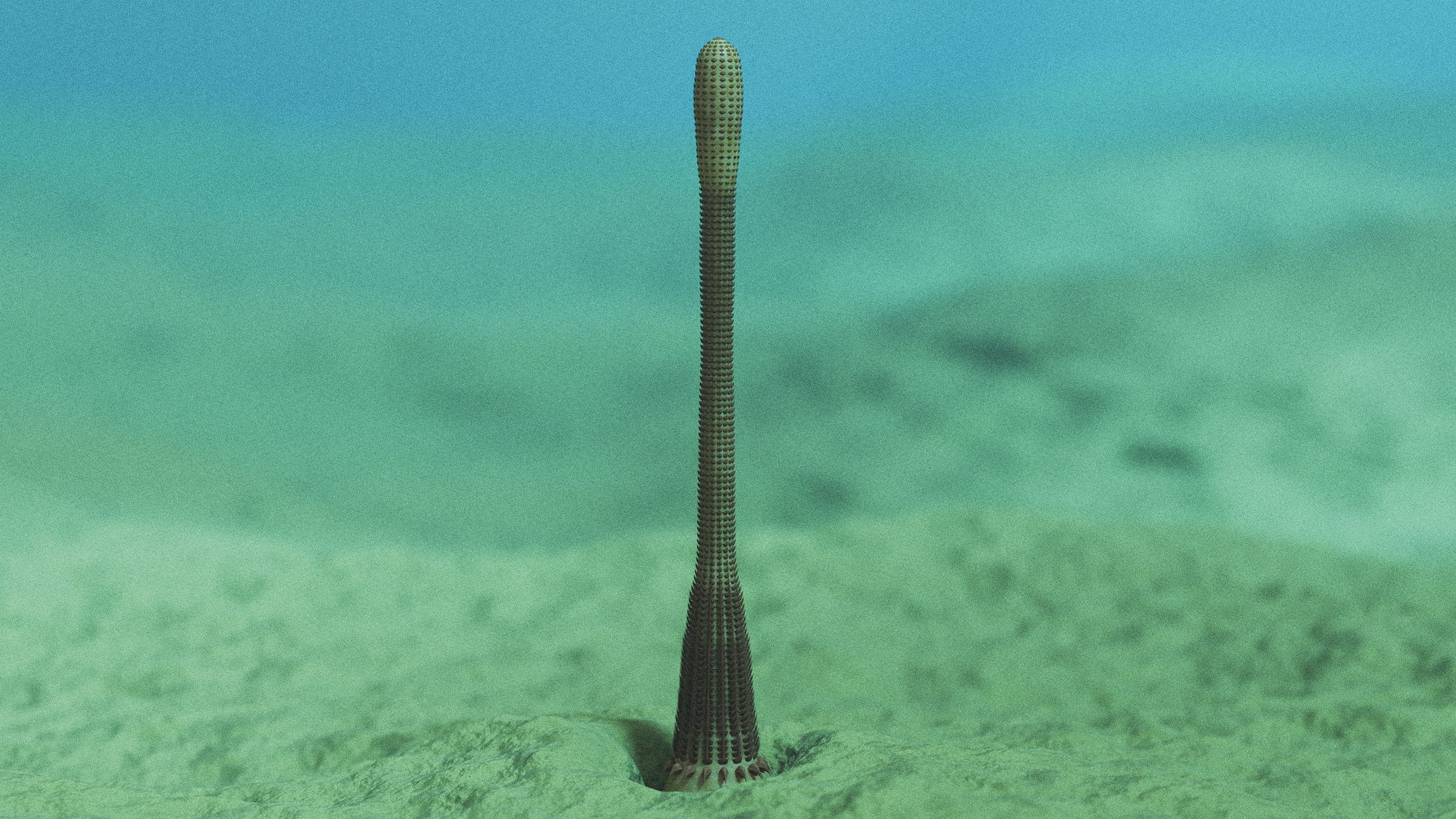An Ancient Penis Worm With Rings of Sharp Teeth Has Been Discovered in the Grand Canyon